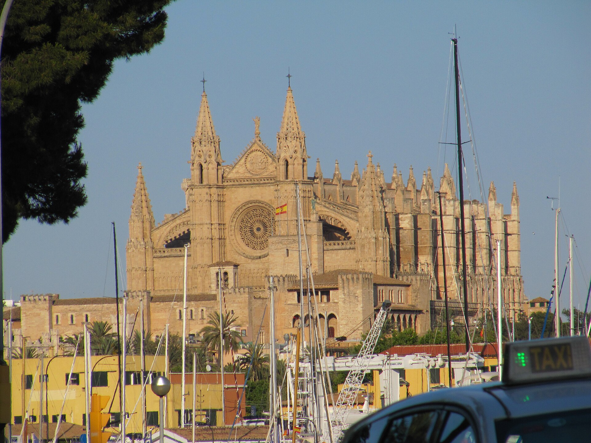 La Seu vista desde el puerto