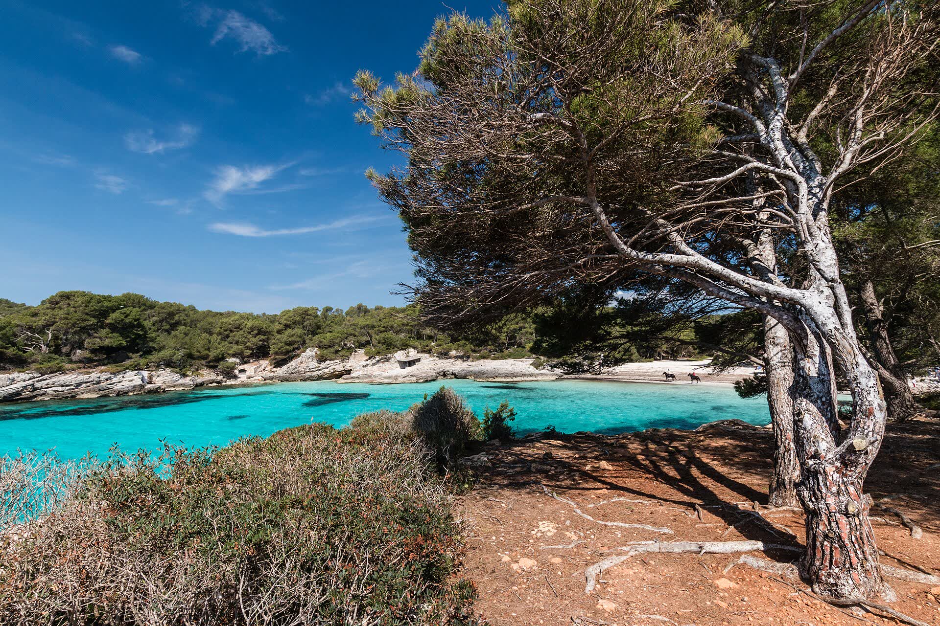 Cala en Turqueta
